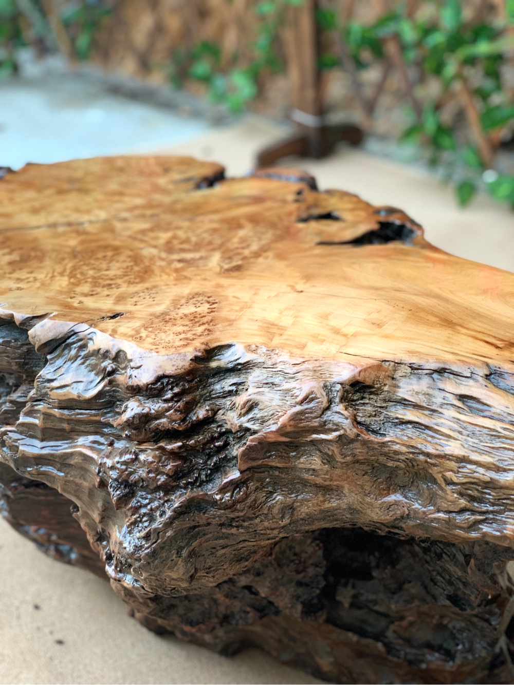 12903228号 杉木瘤全脱骨陈化老料实木茶盘 100*5